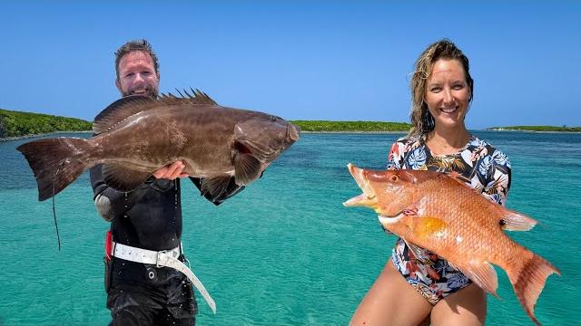 A week in the bahamas… harvesting fish & conch A week in the bahamas… harvesting fish & conch
