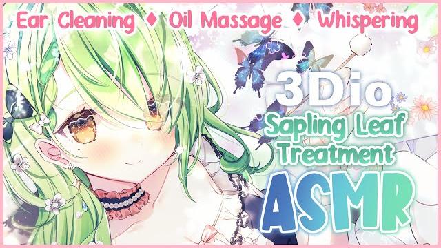 【asmr】 ear cleaning & oil massage treatment for saplings 【asmr】 ear cleaning & oil massage treatment for saplings