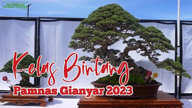 Kelas bintang @pamnasbonsaigianyar2023 Kelas bintang @pamnasbonsaigianyar2023