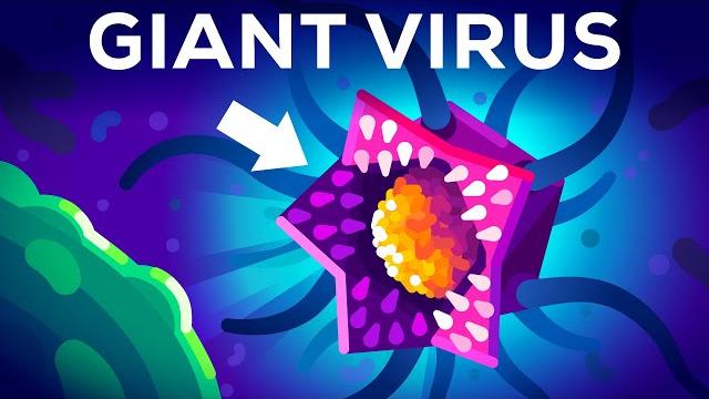 This virus shouldn't exist (but it does) This virus shouldn't exist (but it does)