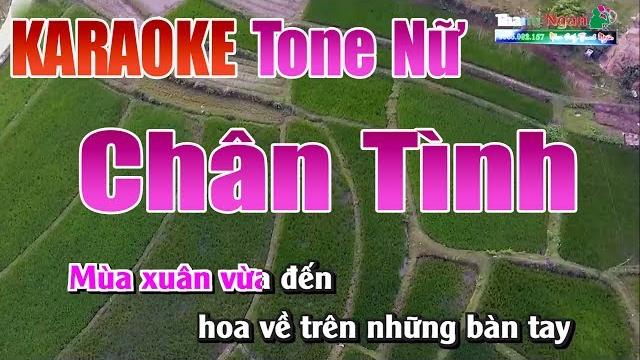 Chân tình karaoke | tone nữ - nhạc sống thanh ngân Chân tình karaoke | tone nữ - nhạc sống thanh ngân