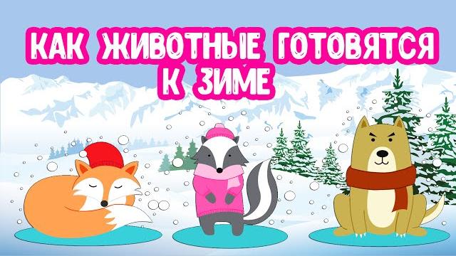 Как животные готовятся к зиме. как зимуют в лесу Как животные готовятся к зиме. как зимуют в лесу