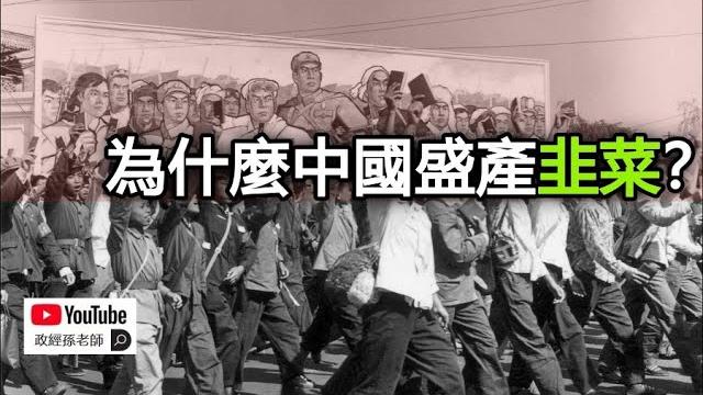 為什麼中國盛產韭菜?鐮刀對全社會進行腦控,韭菜的大腦已被閹割|政經孫老師 mr. sun official 為什麼中國盛產韭菜?鐮刀對全社會進行腦控,韭菜的大腦已被閹割|政經孫老師 mr. sun official