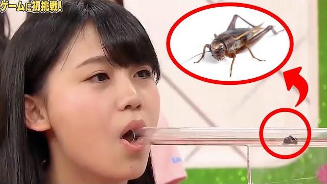 Weirdest japanese game shows compilation #1 Weirdest japanese game shows compilation #1