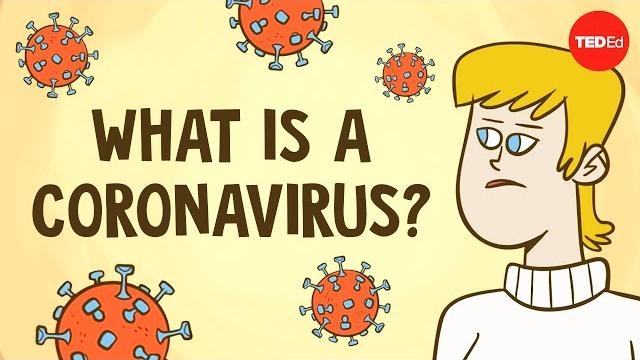 What is a coronavirus? - elizabeth cox What is a coronavirus? - elizabeth cox
