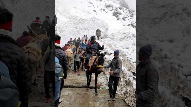 Kedarnath yatra 2023 ️| kedarnath temple opening day | #youtubeshorts #kedarnath #shorts #snowfall Kedarnath yatra 2023 ️| kedarnath temple opening day | #youtubeshorts #kedarnath #shorts #snowfall