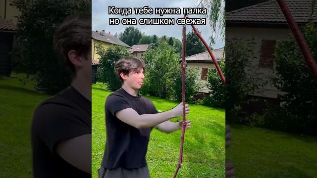 Когда тебе нужна палка, но она слишком свежая Когда тебе нужна палка, но она слишком свежая