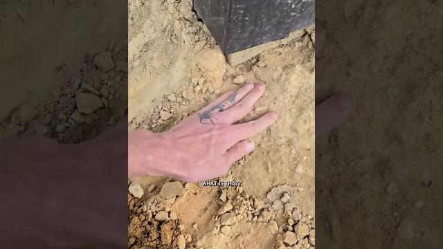 Is nate over confident on the skid steer? #narrowayhomestead #offgridlife #skidsteer #learning Is nate over confident on the skid steer? #narrowayhomestead #offgridlife #skidsteer #learning
