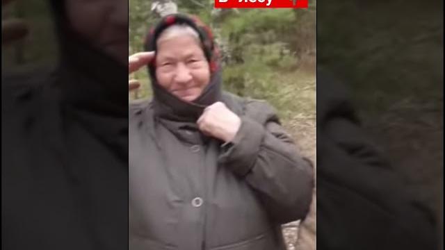 Приехали в лес грибы Приехали в лес грибы
