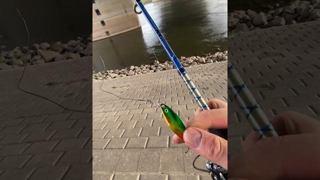 Интересный тренд! #рыбалка #тренды #рыбак #fishing #angeln #спиннинг #воблер #вертушка #блесна Интересный тренд! #рыбалка #тренды #рыбак #fishing #angeln #спиннинг #воблер #вертушка #блесна