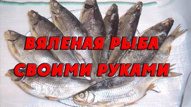 Приготовление вяленой рыбы своими руками в тузлуке. как вялить рыбу в домашних условиях Приготовление вяленой рыбы своими руками в тузлуке. как вялить рыбу в домашних условиях