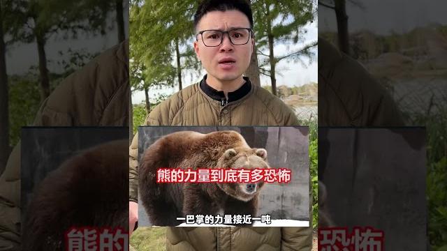 这些危险足迹,一定要教会孩子辨认!#奇妙的动物#生活小常识#儿童安全 这些危险足迹,一定要教会孩子辨认!#奇妙的动物#生活小常识#儿童安全