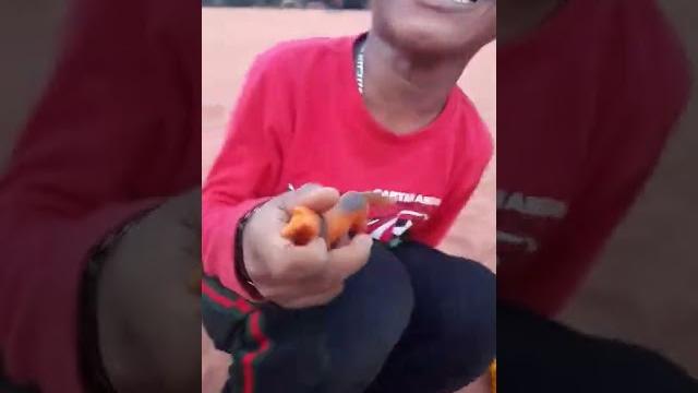 Nishwa Nishwa