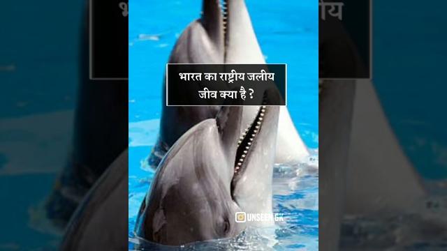Most important gk questions #gkinhindi #facts Most important gk questions #gkinhindi #facts