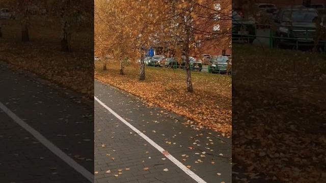 #красотавокругнас #видео #природа #осень #короткие #мирвокругменя #интересно #любовьксебе #красотавокругнас #видео #природа #осень #короткие #мирвокругменя #интересно #любовьксебе