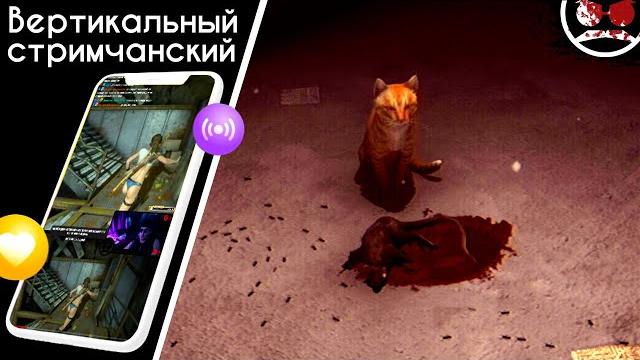 Аномалии с котиком #shorts Аномалии с котиком #shorts