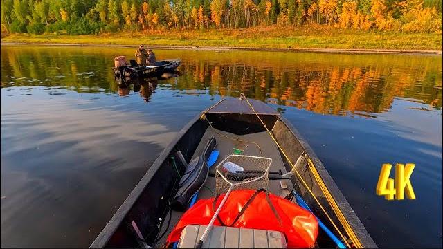 Нашли секретное место и началась рыбалка - 1 часть | we found a secret place and fishing started. Нашли секретное место и началась рыбалка - 1 часть | we found a secret place and fishing started.