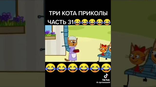 3 кошары и бабушка кошара 3 кошары и бабушка кошара