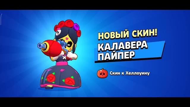 Купил калаверу пайпер на твинк Купил калаверу пайпер на твинк