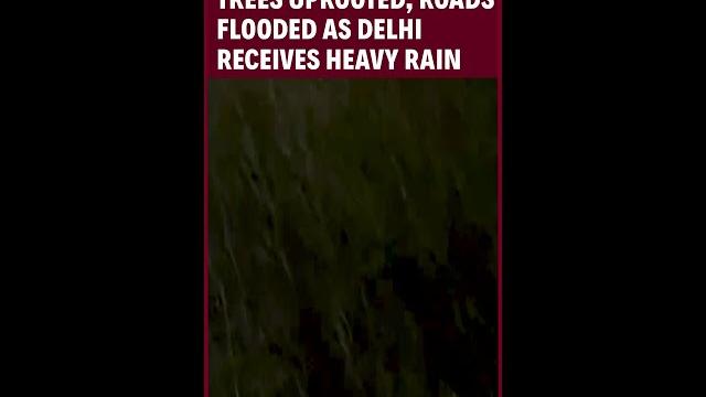 Delhi ncr rain | flight ops hit, trees uprooted, roads flooded as delhi receives heavy rain Delhi ncr rain | flight ops hit, trees uprooted, roads flooded as delhi receives heavy rain