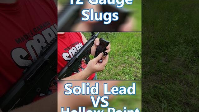Hollow point vs solid lead shotgun slugs Hollow point vs solid lead shotgun slugs