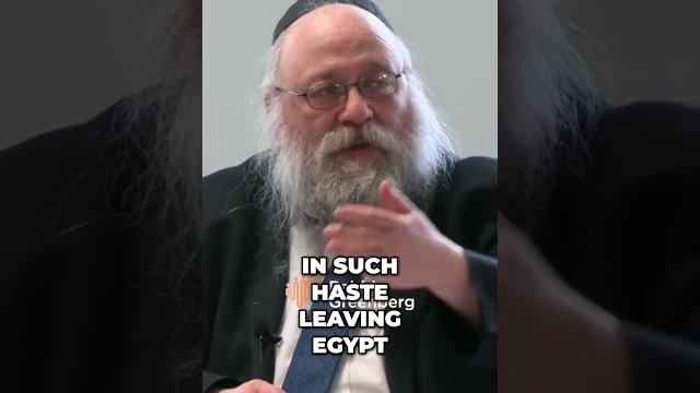 From suffering to liberation: embracing the journey (part 3) #shorts #viral #judaism #chabad #jewish From suffering to liberation: embracing the journey (part 3) #shorts #viral #judaism #chabad #jewish