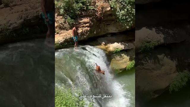 ‼️ اجمل ٥ شلالات للسباحة #shorts #lebanon ‼️ اجمل ٥ شلالات للسباحة #shorts #lebanon