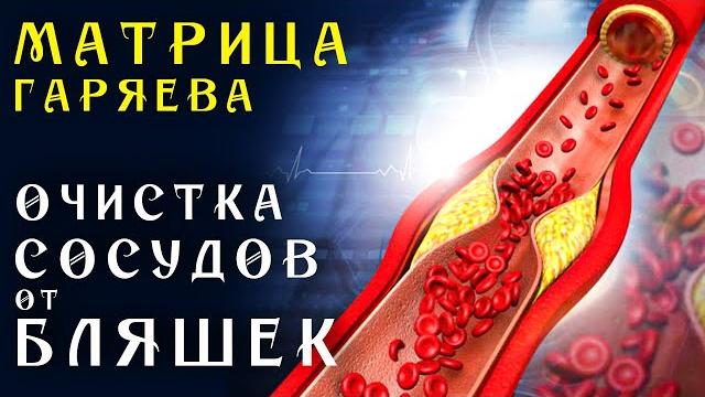 Матрица гаряева мощная очистка сосудов от холестериновых бляшек ️ квантовое очищение сосудов звуком Матрица гаряева мощная очистка сосудов от холестериновых бляшек ️ квантовое очищение сосудов звуком