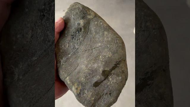 晟世珠寶集採購、銷售、加工、設計於一體,翡翠直播(全球可快遞),記得點訂閱line:myzb8888,(微信)w15368676731#玉 #珠寶 #翡翠 #翡翠原石 #熱門 晟世珠寶集採購、銷售、加工、設計於一體,翡翠直播(全球可快遞),記得點訂閱line:myzb8888,(微信)w15368676731#玉 #珠寶 #翡翠 #翡翠原石 #熱門