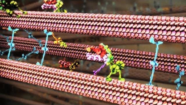 Animations of unseeable biology | drew berry | ted Animations of unseeable biology | drew berry | ted