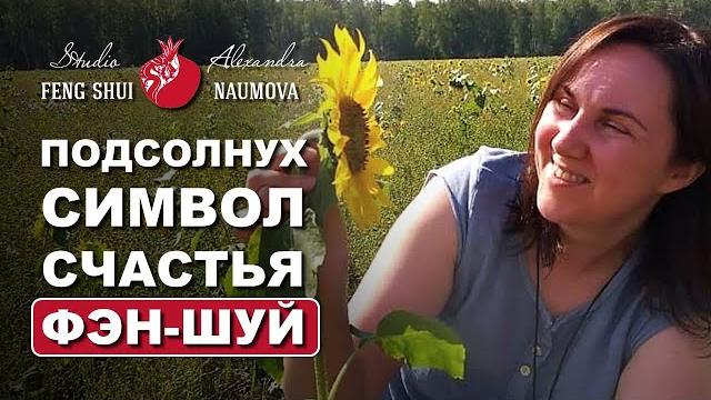 Подсолнух по фен-шуй символ счастья и достатка Подсолнух по фен-шуй символ счастья и достатка