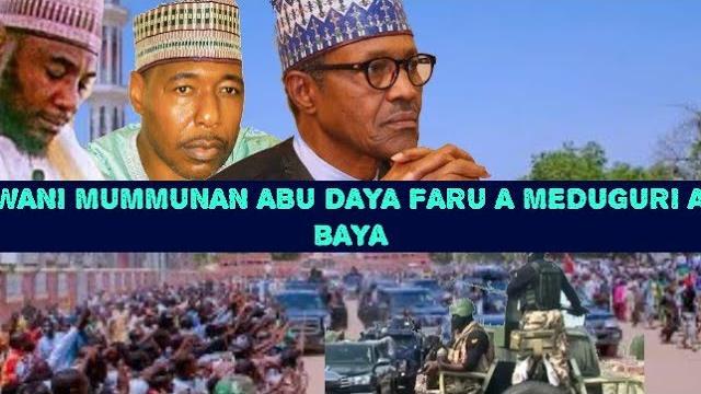 Wani mummuman abu daya faru a meduguri a baya. Wani mummuman abu daya faru a meduguri a baya.