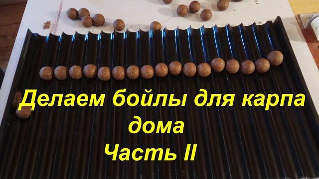 Делаем бойлы для карпа дома. часть ii Делаем бойлы для карпа дома. часть ii