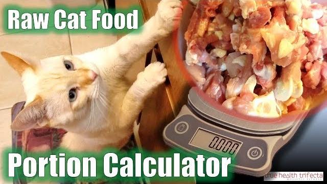 How much raw cat food do i feed my cat? (portion calculator tutorial) - cat lady fitness How much raw cat food do i feed my cat? (portion calculator tutorial) - cat lady fitness
