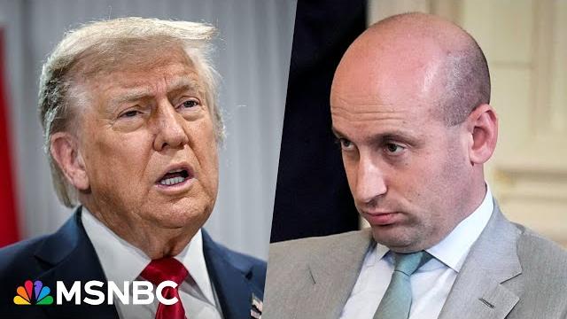 ‘gone too far’: new evidence trump, stephen miller are losing the battle over ice raids ‘gone too far’: new evidence trump, stephen miller are losing the battle over ice raids