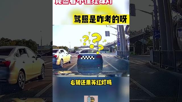 竟然看不懂红绿灯,驾照是咋考的呀#shorts #交通安全 #交通安全猿 #安全駕駛 竟然看不懂红绿灯,驾照是咋考的呀#shorts #交通安全 #交通安全猿 #安全駕駛