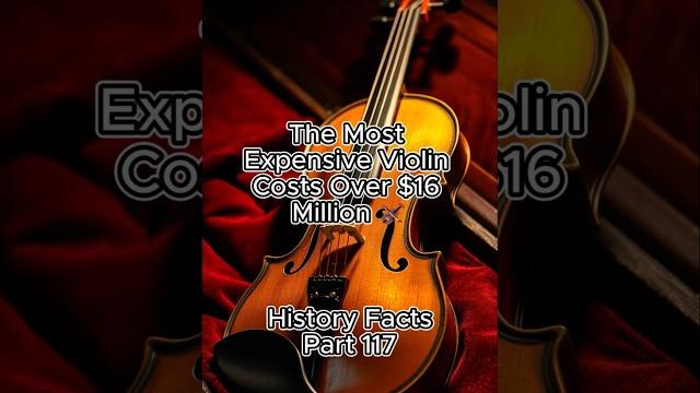Did you know! history facts part 117! #facts #factsdaily #factsoflife #funfacts #factsonly #w24story Did you know! history facts part 117! #facts #factsdaily #factsoflife #funfacts #factsonly #w24story