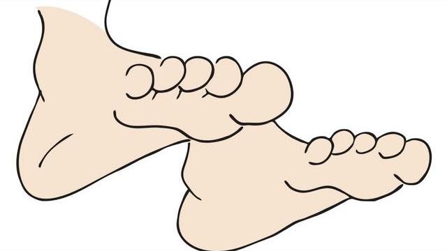 Learn body parts by elf learning - parts of the body song for children - elf kids videos Learn body parts by elf learning - parts of the body song for children - elf kids videos