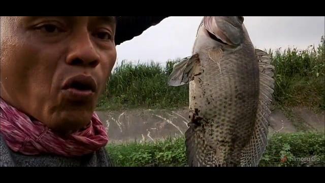 Si montok kena lagi Si montok kena lagi