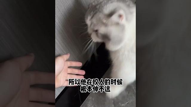 【陈秃秃的一家】事情的结果不重要,活得自信最重要… 【陈秃秃的一家】事情的结果不重要,活得自信最重要…