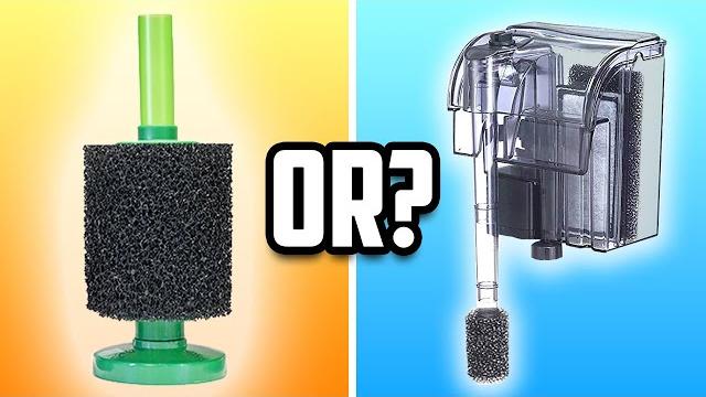 Hang on back filters vs. sponge filters: which is best? Hang on back filters vs. sponge filters: which is best?