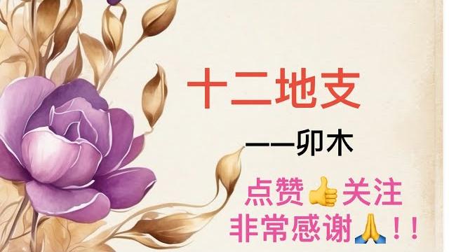 十二地支之卯木,卯木在四柱不同位置的解读,卯木的意象 十二地支之卯木,卯木在四柱不同位置的解读,卯木的意象