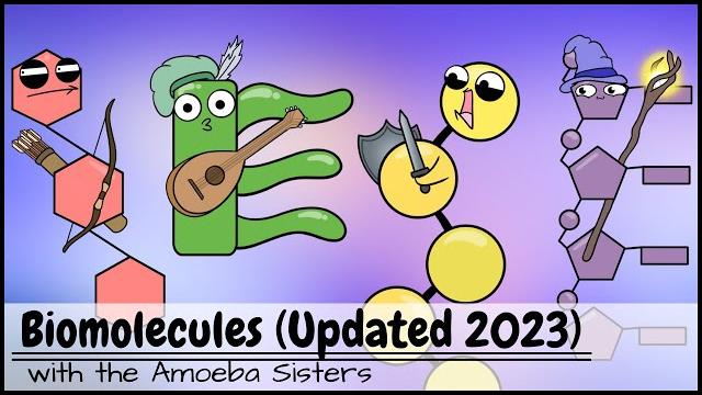 Biomolecules (updated 2023) Biomolecules (updated 2023)