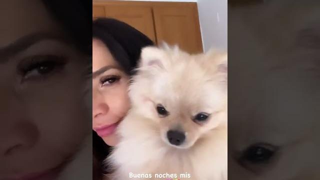 Buenas noches mis amores (soyneiva) neiva mara Buenas noches mis amores (soyneiva) neiva mara