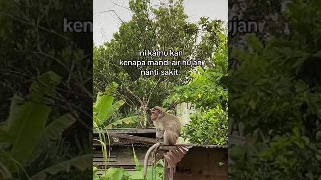 Grup pekob viral Grup pekob viral