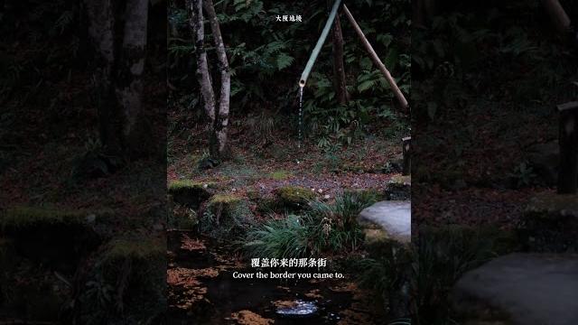 不敢睁开眼 希望是我的幻觉 初月版七月七日晴 京都三千院 一念三千 千年沉寂 走进三千院 一股 耿于怀的情绪与困扰 #中高级订制图 #日本华人地接 #日本旅游 #日本地接 #guide 不敢睁开眼 希望是我的幻觉 初月版七月七日晴 京都三千院 一念三千 千年沉寂 走进三千院 一股 耿于怀的情绪与困扰 #中高级订制图 #日本华人地接 #日本旅游 #日本地接 #guide