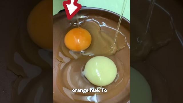 How farmers get white egg yolks How farmers get white egg yolks