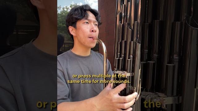 Do you know what music instrument this is? #dayinthelife #piano #vlog #chinesemusic #sheng Do you know what music instrument this is? #dayinthelife #piano #vlog #chinesemusic #sheng