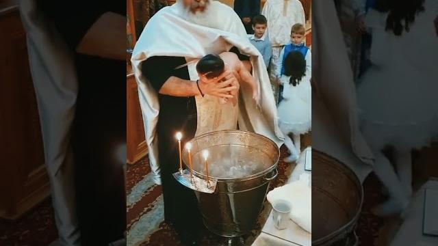 #holywater #newborn #shorts #holywater #newborn #shorts