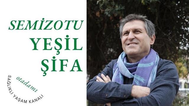 Semi̇zotunun faydalari i semi̇z otu faydasi ve yarari i semi̇zotu nasil yapilir ve pi̇şi̇ri̇li̇r Semi̇zotunun faydalari i semi̇z otu faydasi ve yarari i semi̇zotu nasil yapilir ve pi̇şi̇ri̇li̇r